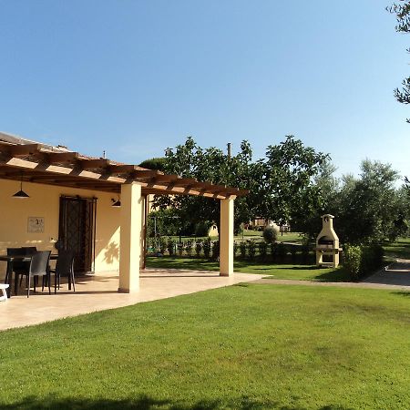 Agriturismo Dallolivo Bolgheri Exterior photo