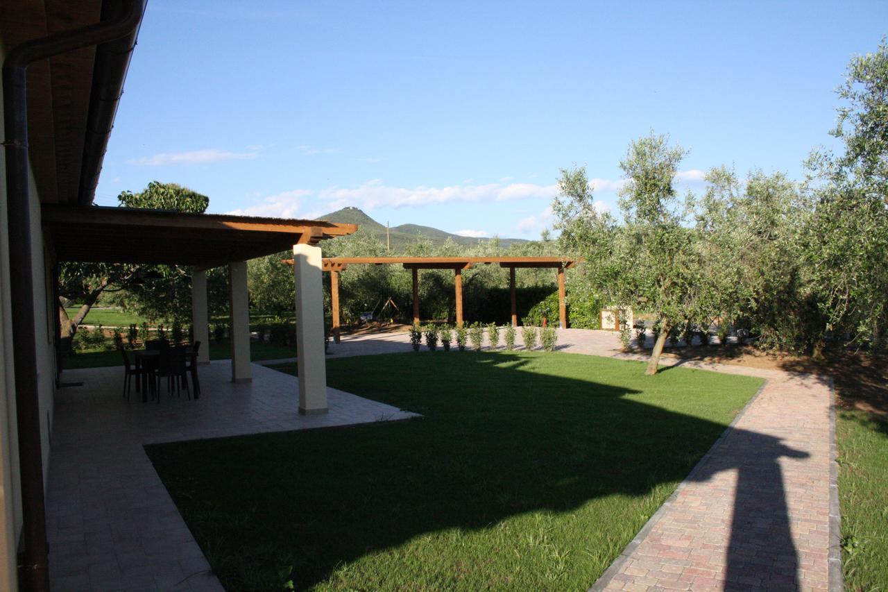 Agriturismo Dallolivo Bolgheri Exterior photo