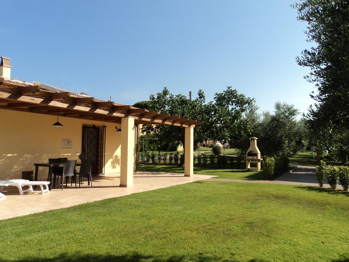 Agriturismo Dallolivo Bolgheri Exterior photo