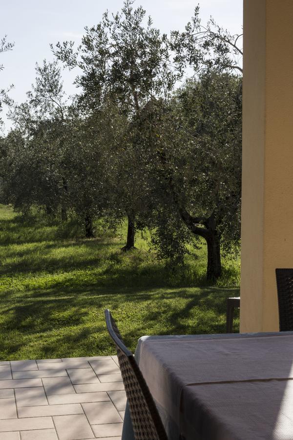 Agriturismo Dallolivo Bolgheri Exterior photo