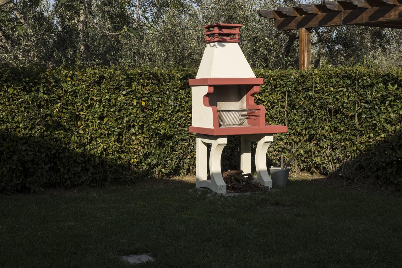 Agriturismo Dallolivo Bolgheri Exterior photo